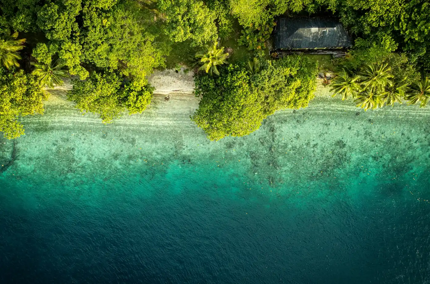 Lush tropical coastline and coral shallows of Espiritu Santo from the air