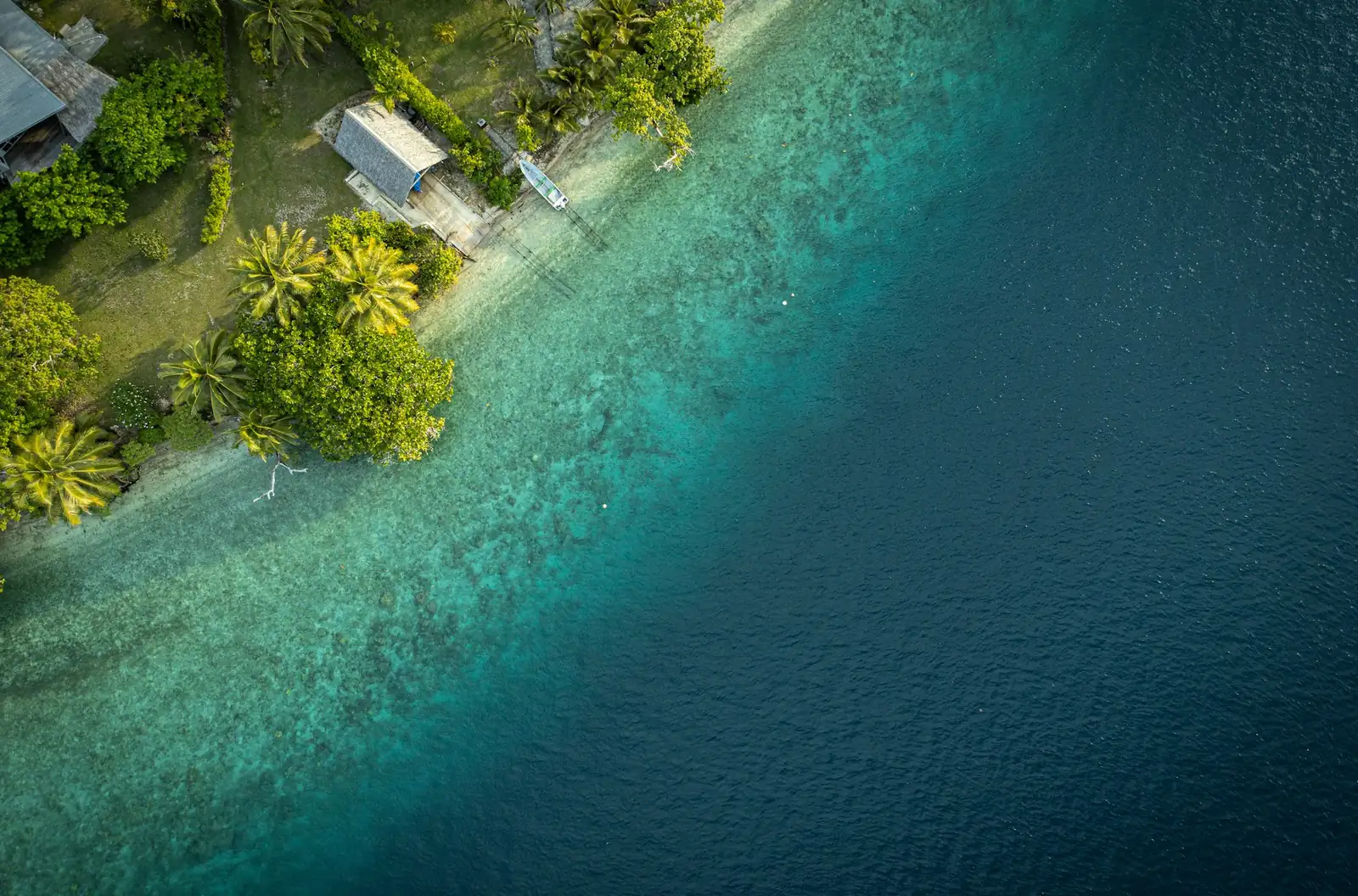 Turquoise shallows along a palm-lined shore of Espiritu Santo, seen from above